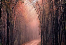 绝地逆转!阿森纳女足3-0皇马女足晋级欧冠4强,.