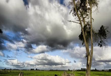 打开心了!东契奇得分助攻湖人领先到15分 金鸡独立传球解说都笑了.:超凡国际