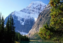 帕利尼亚:我没有考虑过离开拜仁,我已经准备好迎接新的挑战.