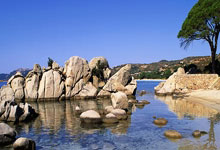 黄友政、刘炜珊分获乒乓球全锦赛男、女单打冠军.:超凡国际